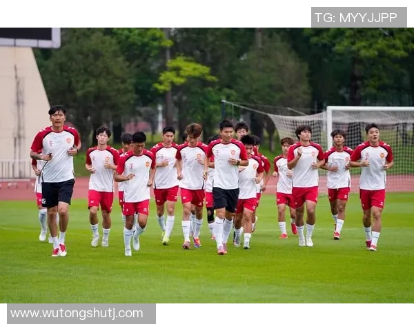 中国足球的崛起与挑战：从青训体系到职业联赛的全面发展探讨