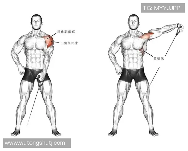 哑铃上提后束训练技巧与注意事项助你打造完美背部线条
